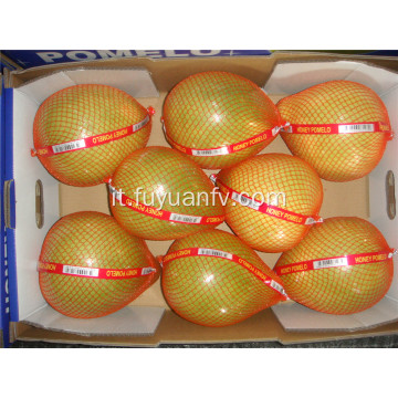 2019 Pomelo al miele